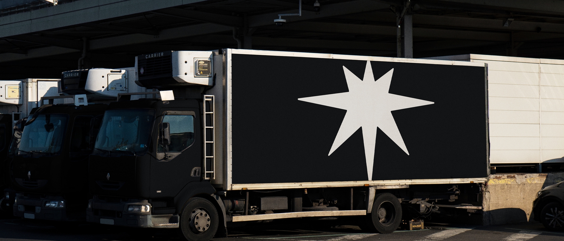 VISUAL IDENTITY
